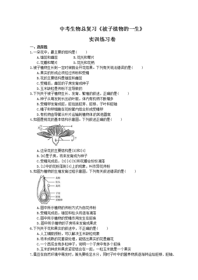 中考生物总复习《被子植物的一生》实训练习卷(含答案)01