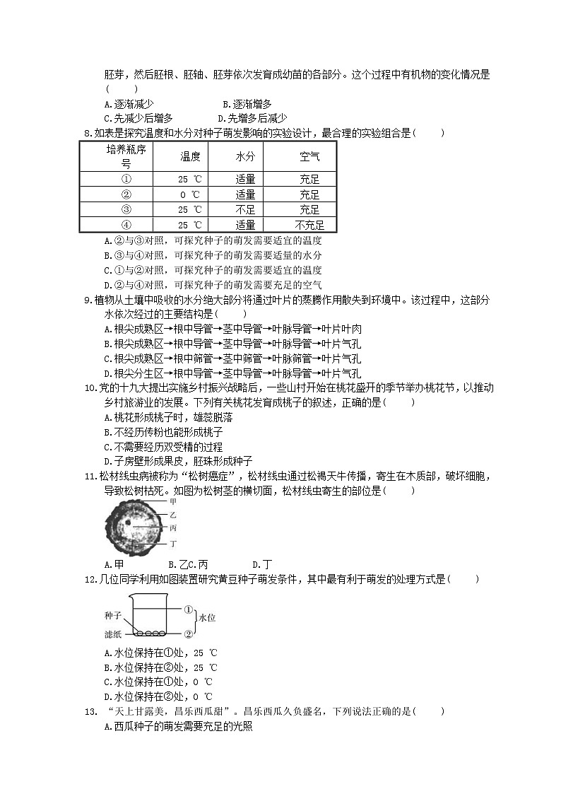 中考生物总复习《被子植物的一生》实训练习卷(含答案)02