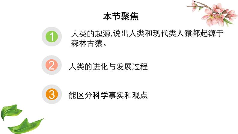 七年级下册第一节《人类的起源和发展》课件PPT第2页