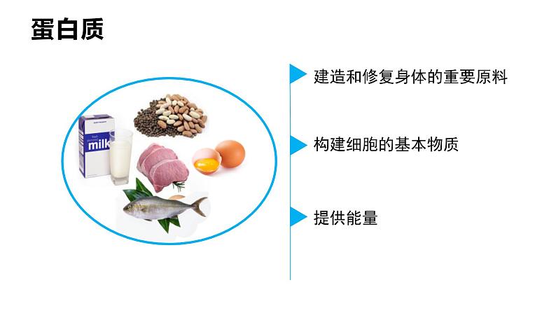 人教版七年级生物下册4.2.1《食物中的营养物质》课件（含2段嵌入视频）08