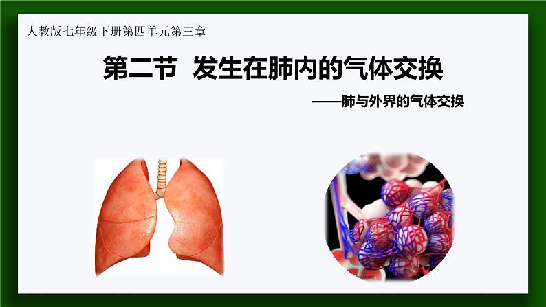 人教版七年级生物下册4.3.2  发生在肺内的气体交换 课件(共20张PPT)第1页