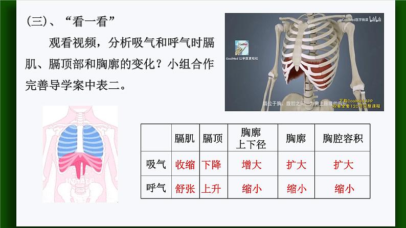 人教版七年级生物下册4.3.2  发生在肺内的气体交换 课件(共20张PPT)第8页