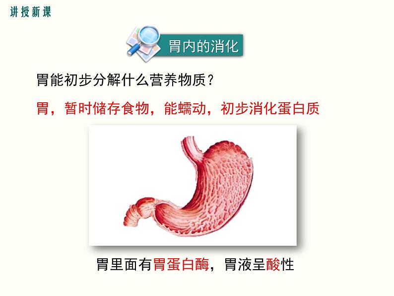 人教版七年级下册生物 第二章 第二节  消化和吸收 第2课时 食物的消化过程和营养物质的吸收课件(共21张PPT)第7页