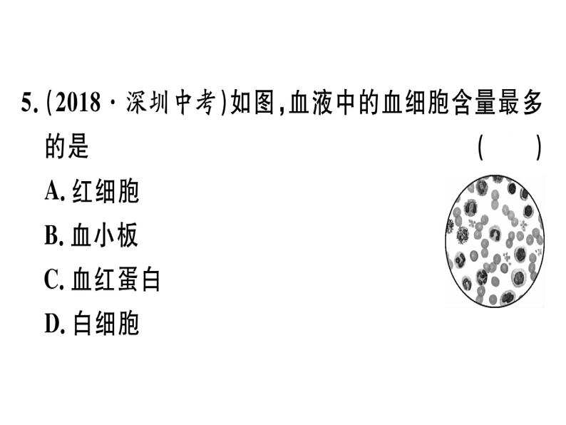 第四章第一节 血液 习题课件 新人教版第7页