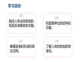 人教版 七年级下册生物---第五章 人体内废物的排出 课件
