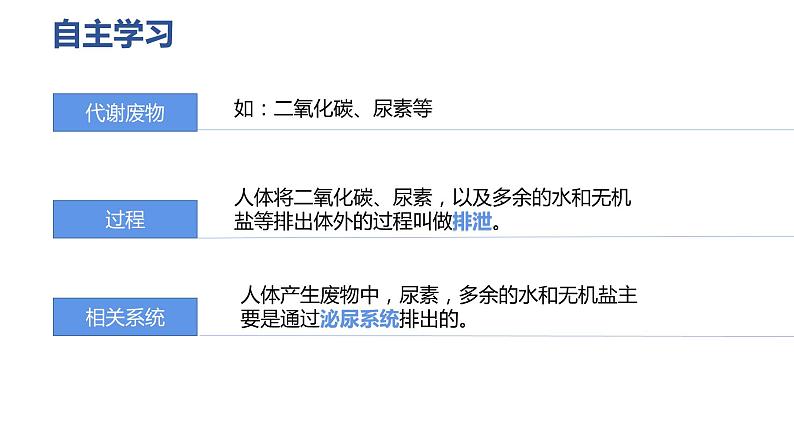 人教版 七年级下册生物---第五章 人体内废物的排出 课件第5页