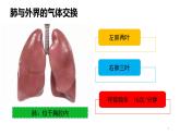 人教版七年级生物下册4.3.2《发生在肺内的气体交换》课件（含嵌入视频）
