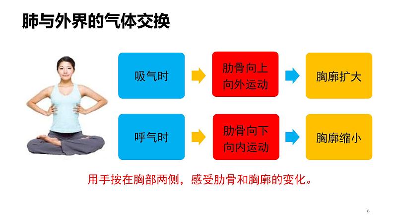 人教版七年级生物下册4.3.2《发生在肺内的气体交换》课件（含嵌入视频）06