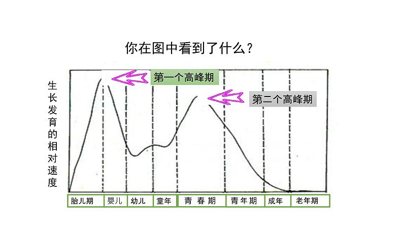 人教版七年级生物下册4.1.3《青春期》课件05