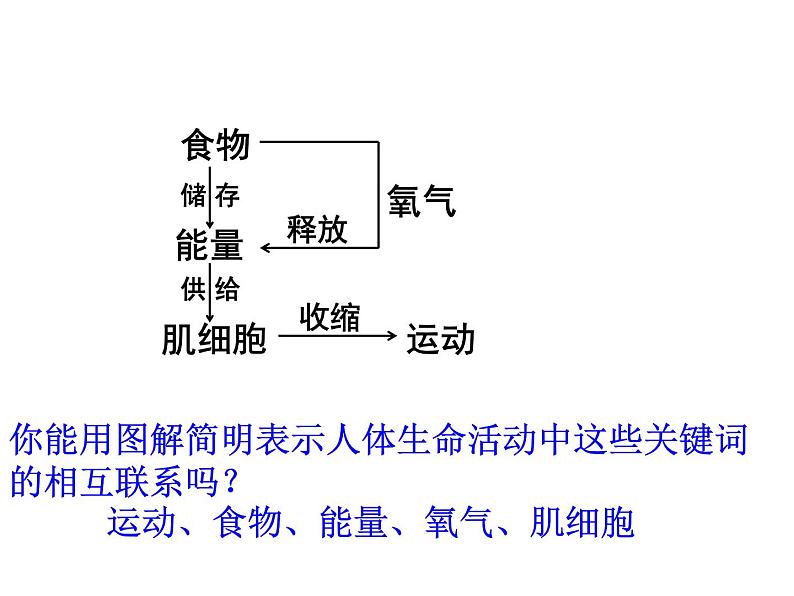 北师大版七下生物 10.1食物中能量的释放 课件第3页