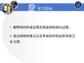 北师大版七下生物 11.2尿的形成与排出 课件