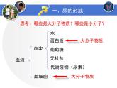 北师大版七下生物 11.2尿的形成与排出 课件