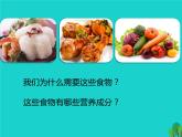 北师大版七下生物 8.1人类的食物 课件