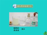 北师大版七下生物 8.1人类的食物 课件