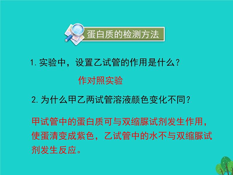 北师大版七下生物 8.1人类的食物 课件07