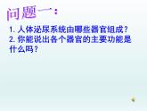 北师大版七下生物 11.2尿的形成与排出 课件