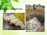 北师大版七下生物 13.2预防传染病 课件