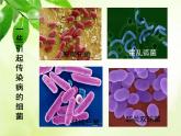 北师大版七下生物 13.2预防传染病 课件