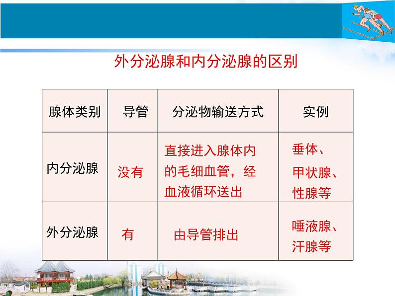 北师大版七下生物 12.3激素调节 课件07