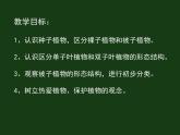 北师大版八下生物 22.3植物的主要类群 课件