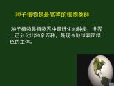 北师大版八下生物 22.3植物的主要类群 课件