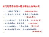 北师大版八下生物 23.2生态系统概述 课件