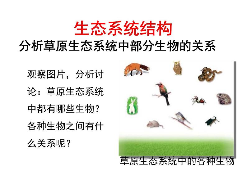 北师大版八下生物 23.2生态系统概述 课件第4页