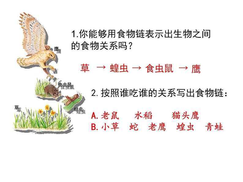 北师大版八下生物 23.2生态系统概述 课件第8页