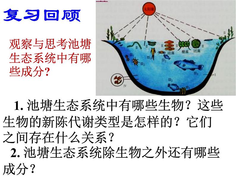 北师大版八下生物 23.3生态系统的结构和功能 课件第2页