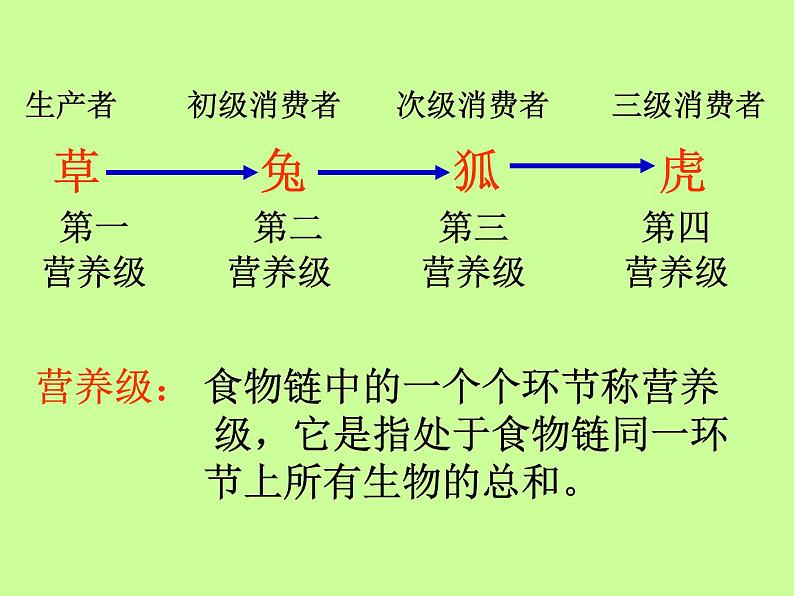 北师大版八下生物 23.3生态系统的结构和功能 课件第6页