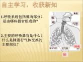 济南版七下生物 2.1人体与外界的气体交换 课件