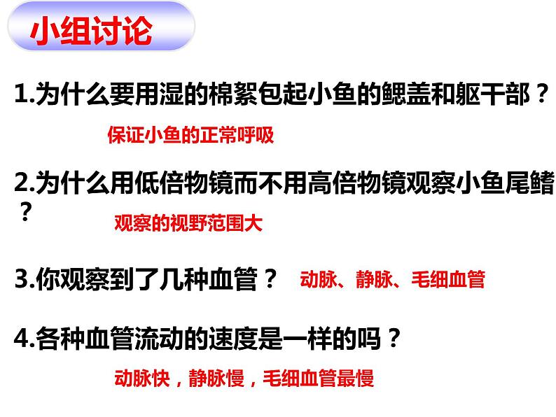 济南版七下生物 3.2物质运输的器官 课件第6页