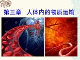 济南版七下生物 3.1物质运输的载体 课件