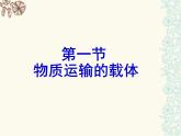 济南版七下生物 3.1物质运输的载体 课件