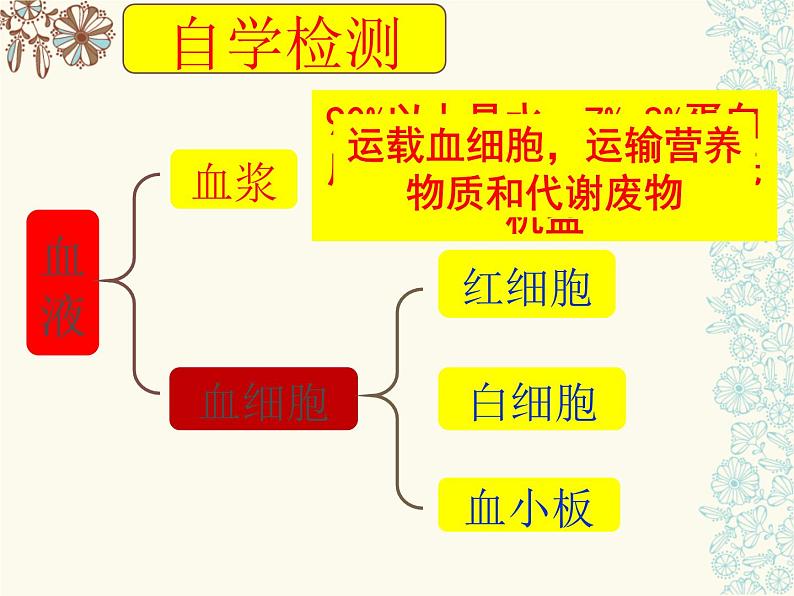 济南版七下生物 3.1物质运输的载体 课件07