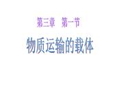 济南版七下生物 3.1物质运输的载体 课件