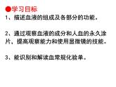 济南版七下生物 3.1物质运输的载体 课件