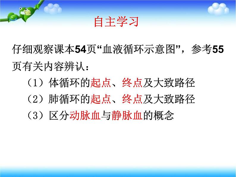 济南版七下生物 3.3物质运输的途径 课件第7页