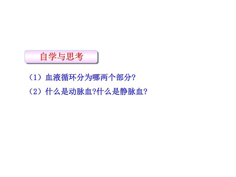 冀教版七下生物 2.3物质运输的路线 课件07