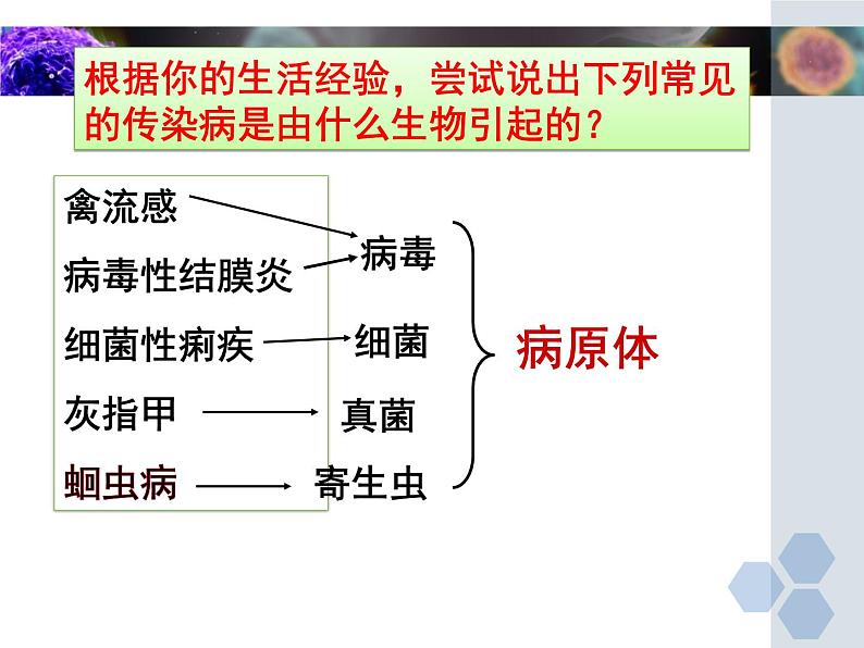 冀教版七下生物 6.2疾病与预防 课件05