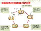 冀教版八下生物 6.2.1遗传 课件
