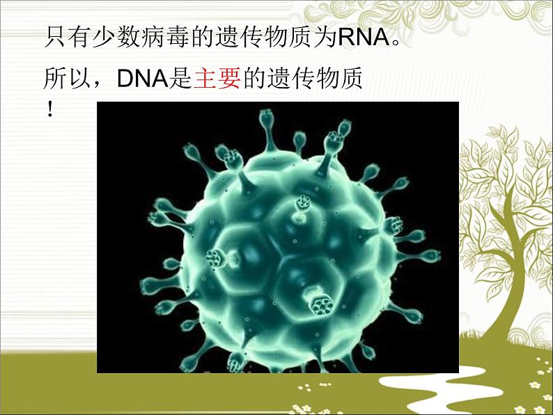 冀教版八下生物 6.2.1遗传 课件07