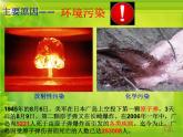 冀教版八下生物 6.2.3遗传病与优生 课件