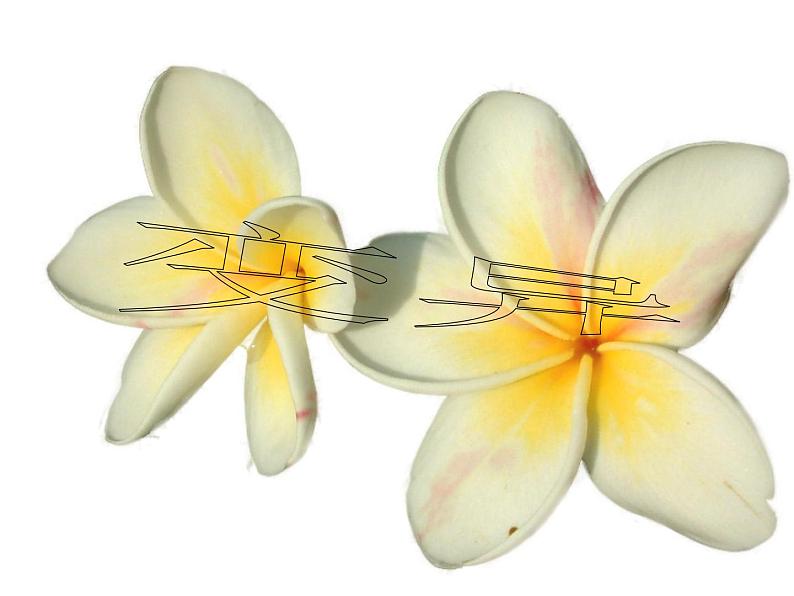 冀教版八下生物 6.2.2变异 课件第3页