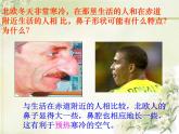 人教版七下生物 3.1呼吸道对空气的处理 课件