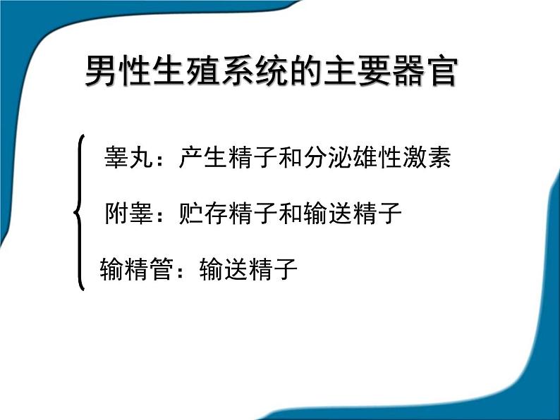 人教版七下生物 1.2人的生殖 课件第5页