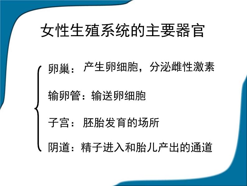 人教版七下生物 1.2人的生殖 课件第8页