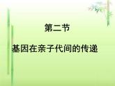 人教版八下生物 7.2.2基因在亲子代间的传递 课件