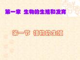 人教版八下生物 7.1.1植物的生殖 课件