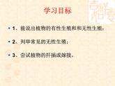 人教版八下生物 7.1.1植物的生殖 课件